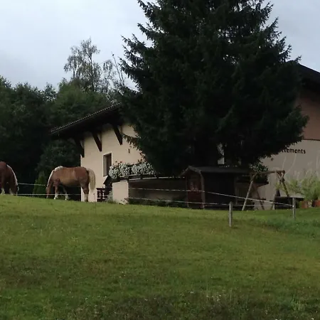 Kroell, Joker Card In Summer Included! *